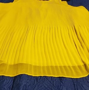 Beautiful Sheer Citron color top